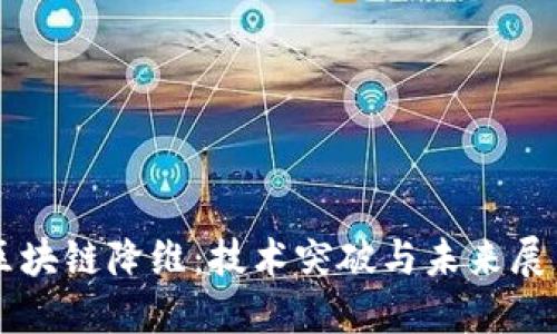 區(qū)塊鏈降維：技術(shù)突破與未來展望